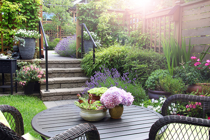 Small garden, big ideas – design on a budget